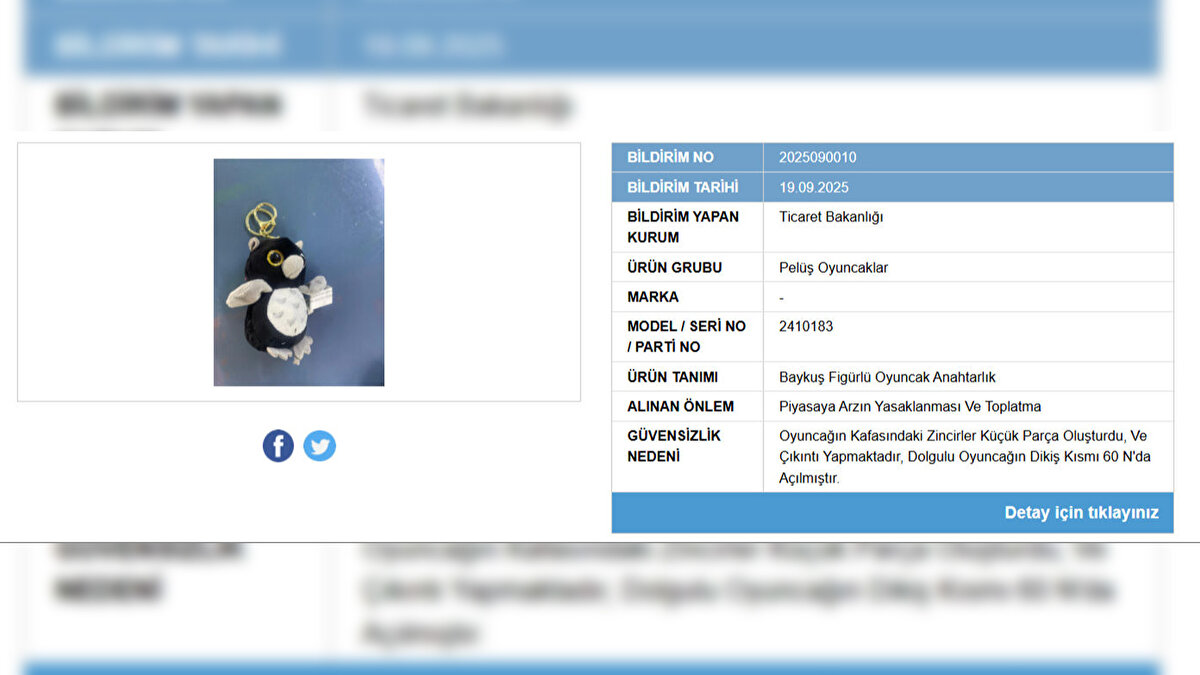 Ürünün güvensizliğine dair yapılan açıklamada, “Oyuncağın kafasındaki zincirler küçük parça oluşturdu ve çıkıntı yapmaktadır. Dolgulu oyuncağın dikiş kısmı 60 N’da açılmıştır” ifadeleri kullanıldı.