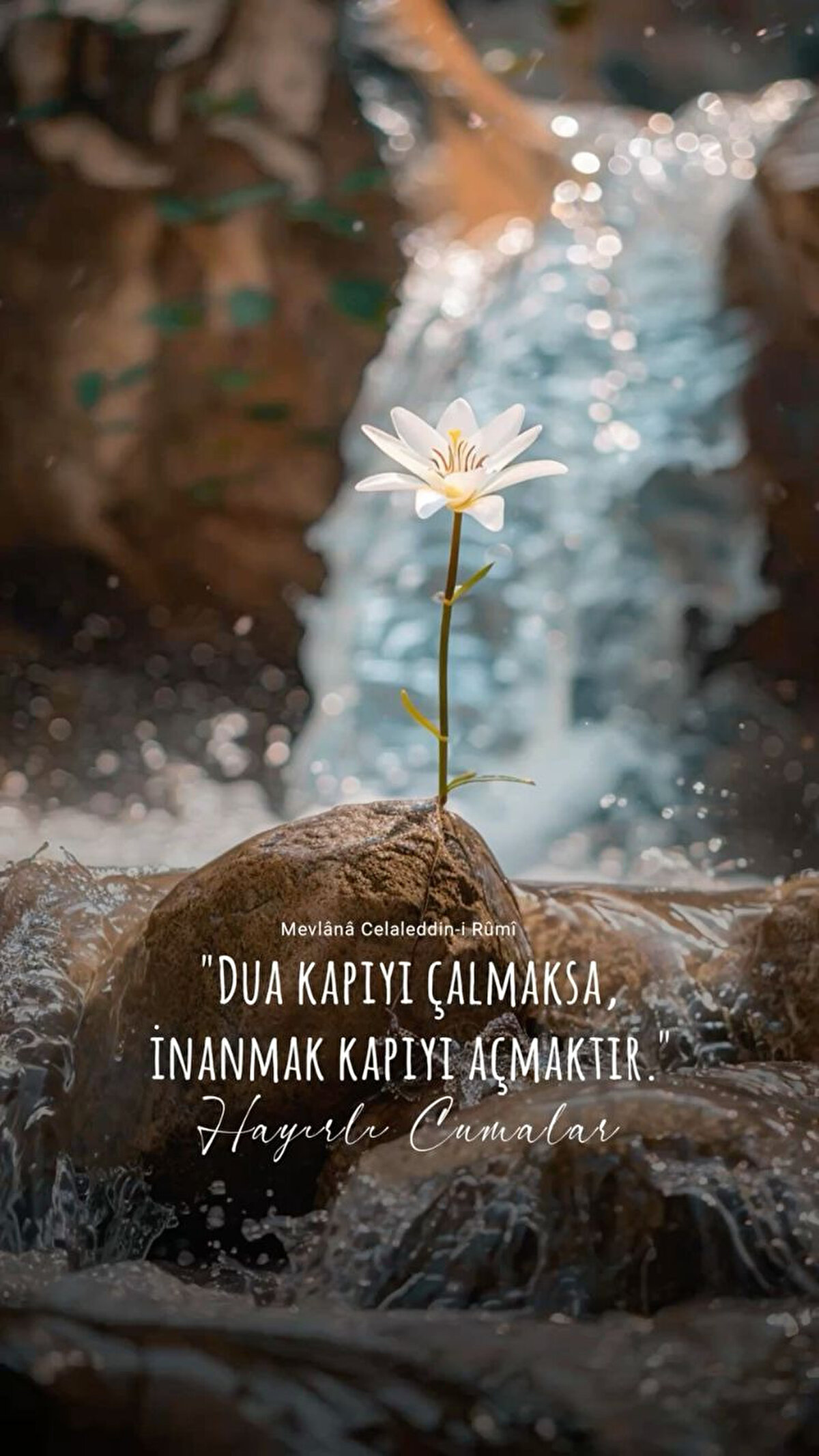 Kimi zamanlar vardır en muhabbetli en uhuvvetli ve en güzel, en içten müminin bayramıdır böyle zamanlar. en güzel günün cuma bayramın olsun. duayla