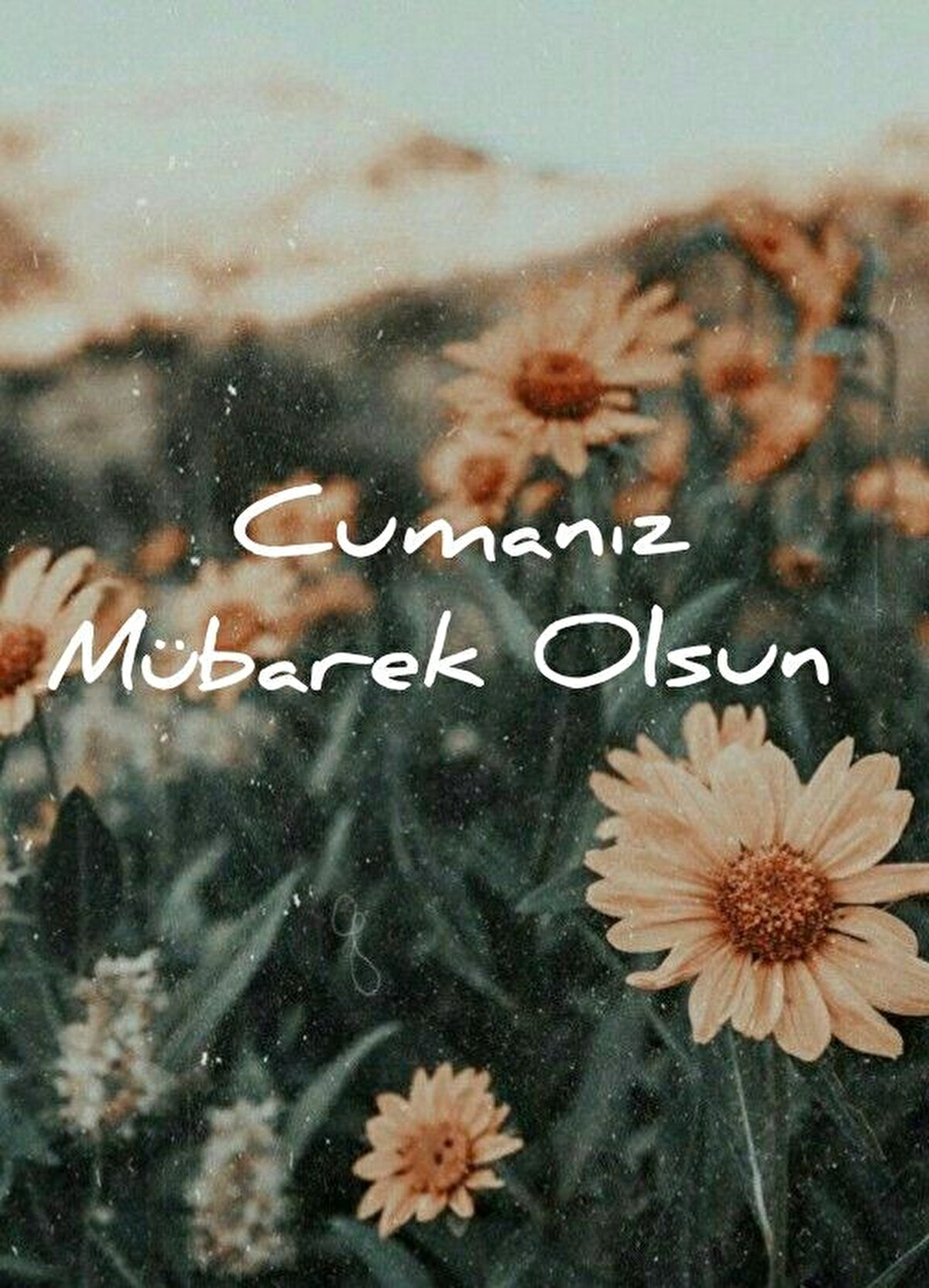 Ya Rabbim! Bu mübarek cuma günün yüzüsuyu hürmetine biz aciz kulların ne derdi varsa, ne sıkıntısı varsa; dertlilere deva, hastalara şifa, borçlu kullarına edalar nasip et Ya Rabbim. Biz kulların dualarını kabul et. Amin. Hayırlı nurlu cumalar.