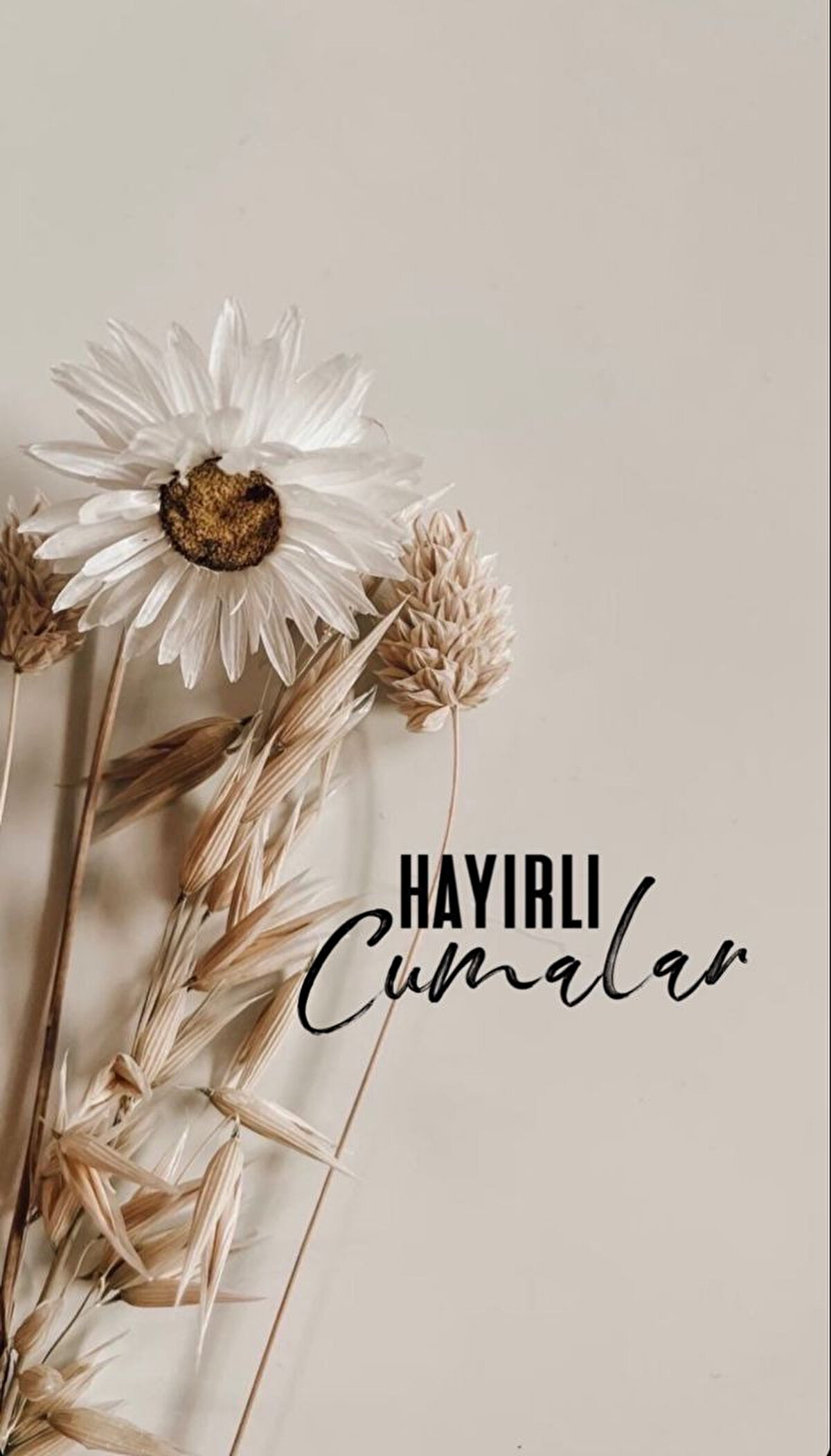 <br>Ya Rabbi! Sana açılan elleri, sana yönelen gönülleri, sana bükülen boyunları, sana yalvaran dilleri, ne olur boş çevirme, amin. Hayırlı nurlu cumalar.