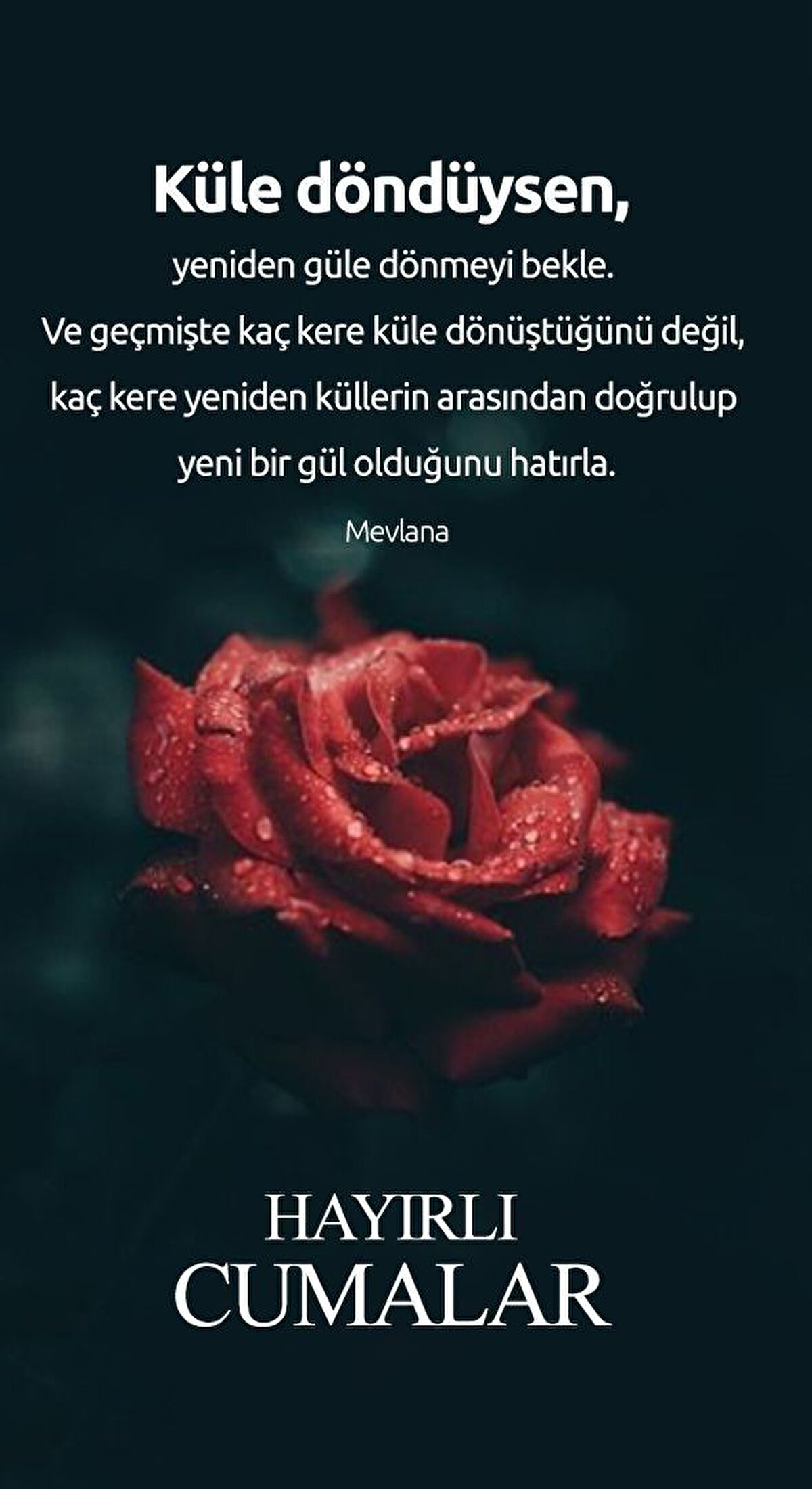 Allah"ın nuruyla, ümmetini selamlayan gül yüzlü nur Peygamberin (sav) şefaatı üzerinize olsun. Hayırlı Cumalar.<br>