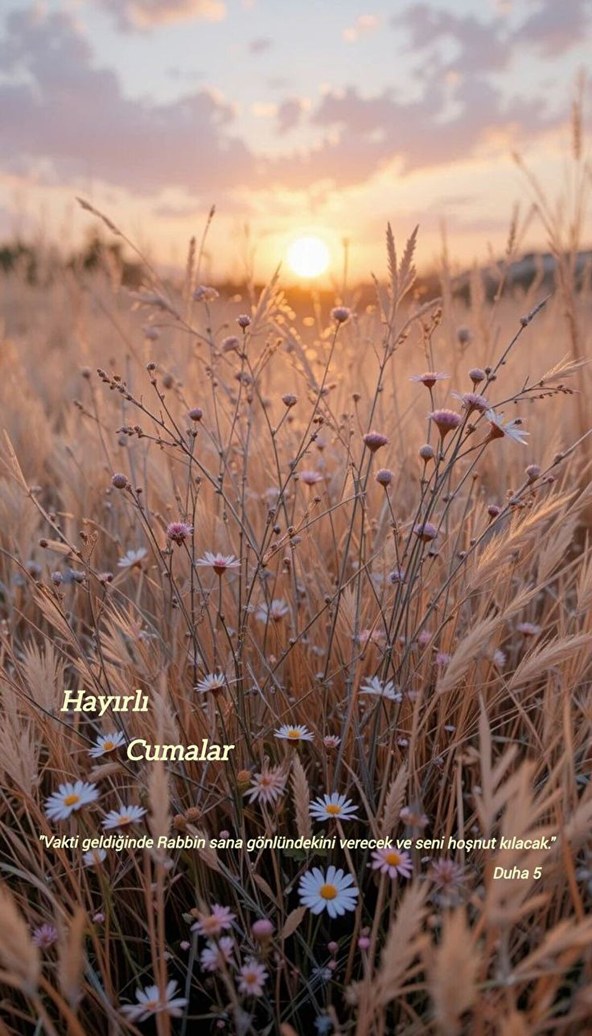 Rabbim sen kalbi kırıkların sığınağı, yolda kalmışların yoldaşı, sen yalnızlığıma arkadaş olan ve tüm gönüllerin dert ortağısın. beni benden uzağa at, senden uzağa atma. cumanız mübarek olsun.<br>