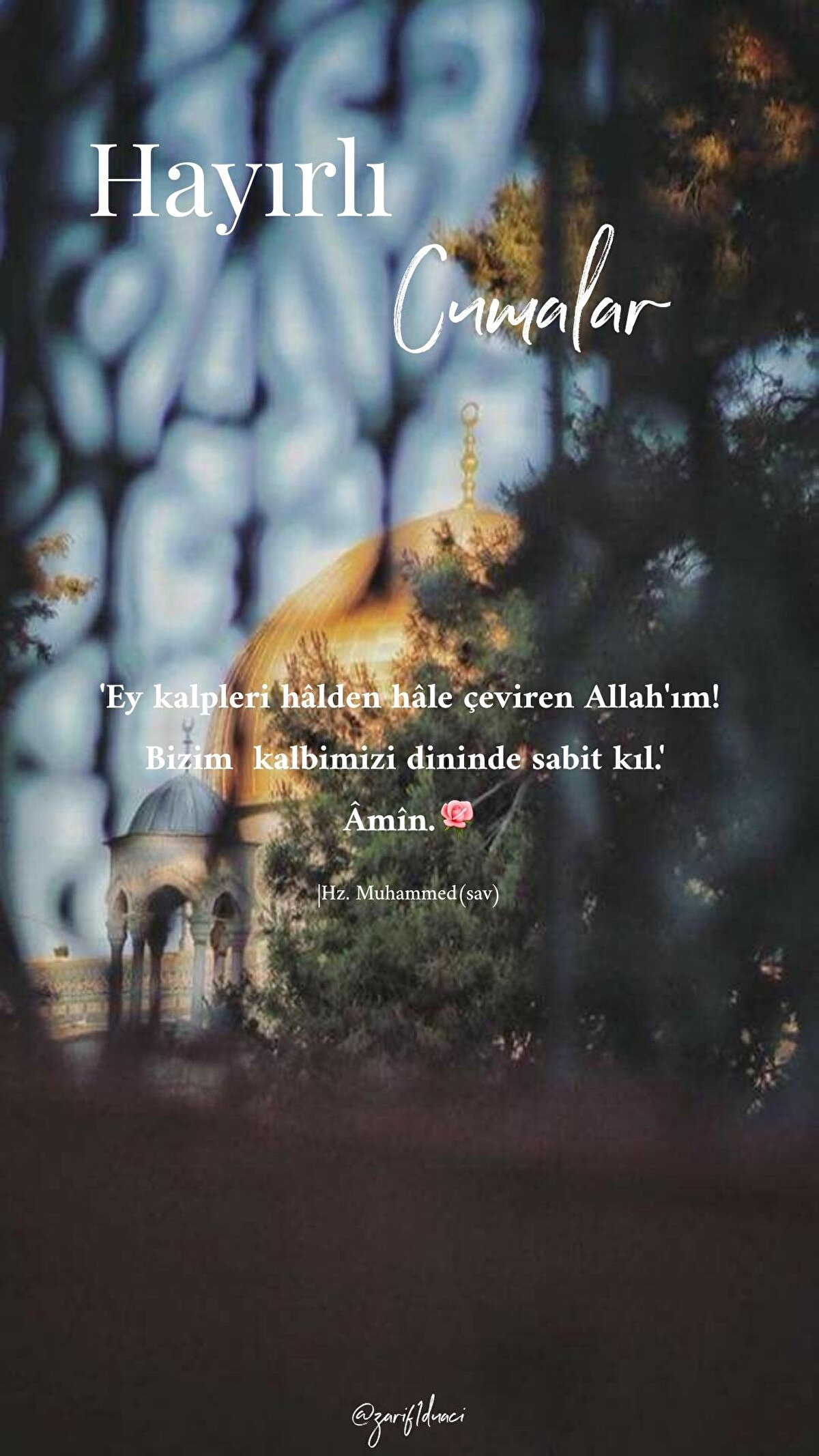 Günler bize dostların güzelliğiyle, geceler onların dualarıyla mübarek oluyor. Umudumuz dostların hediyesi, duamızsa sizlerin sevgisi. Cumanız mübarek olsun…