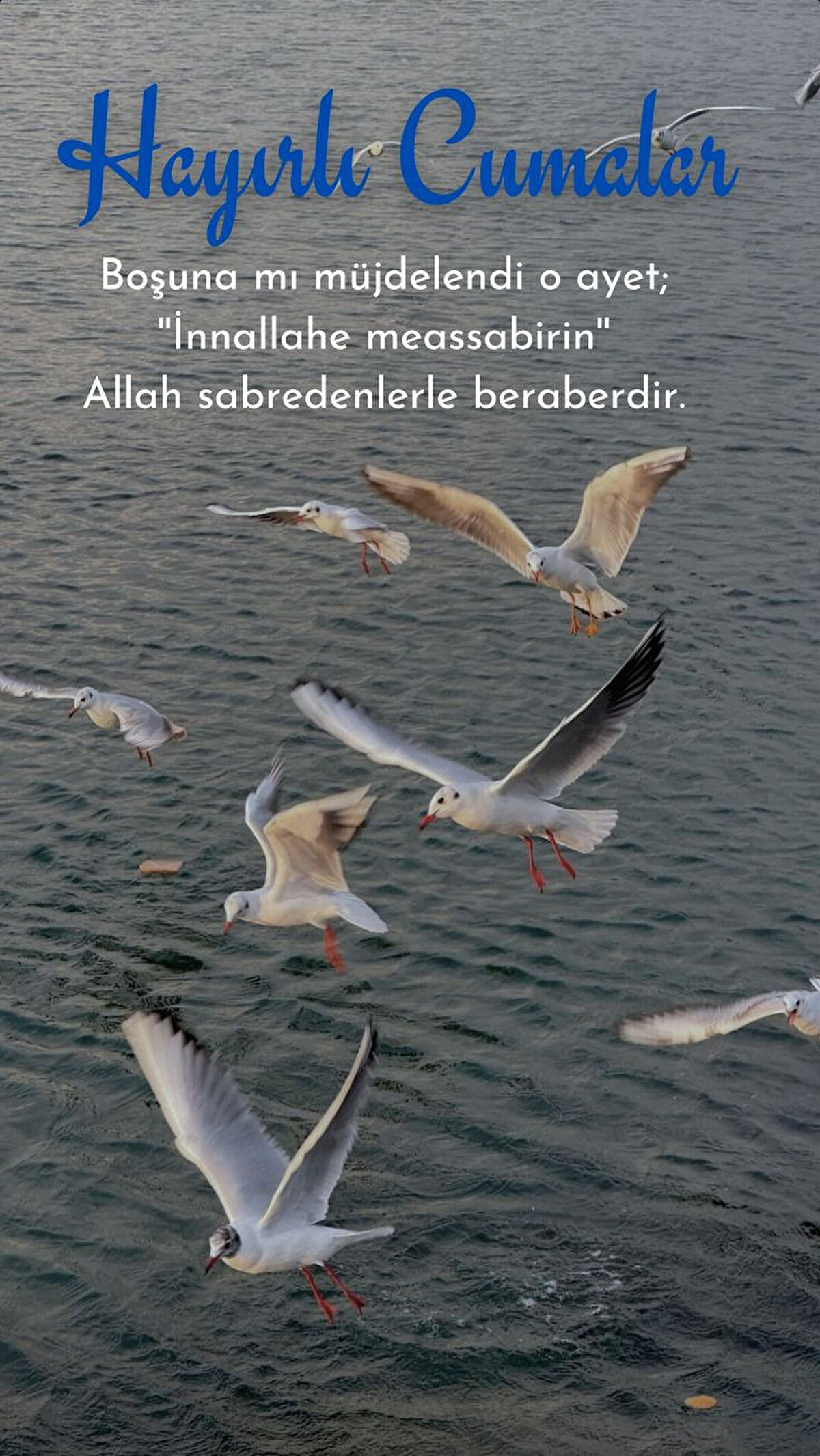 SEHERDE AÇILAN ELLER HÜRMETİNE,RUKUDA BÜKÜLEN BELLER HÜRMETİNE,KABUL ET YAKARIŞLARIMIZI..SECDEYE KAPANMIŞ BAŞLAR HÜRMETİNE,GÖZLERDEN AKAN YAŞLAR HÜRMETİNE,SEVGİNLE DOLDUR SANA YÖNELMİŞ KALPLERİMİZİ.VE SEN AFFEDİCİSİN AFFI SEVERSİN AFEYLE YA RABBİ CÜMLEMİZİ….<br>