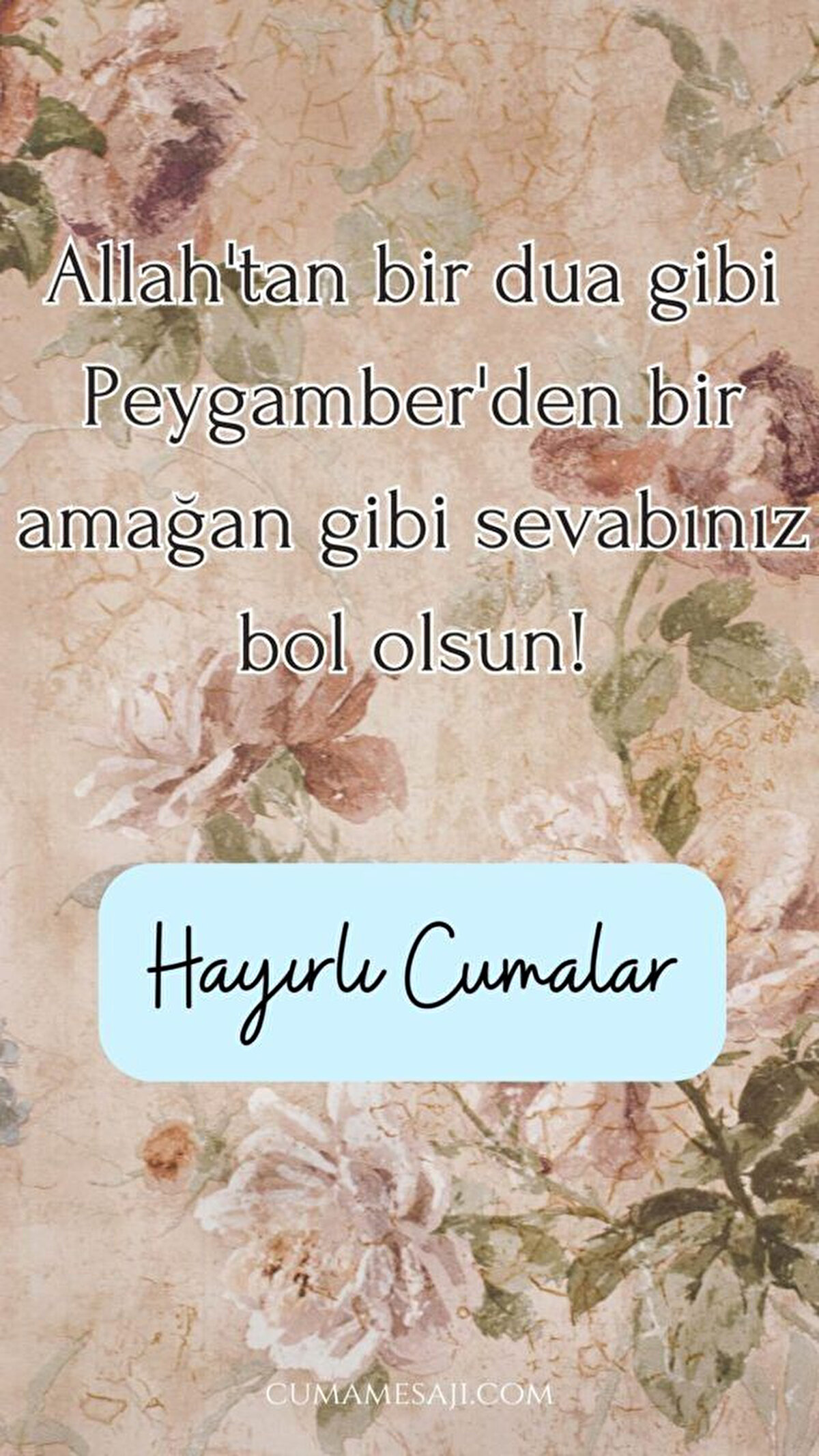 BU DÜNYA FANİ SAKIN GÜVENME, GİDEN GELMEZ, GELEN DURMAZ, ALLAH SEVGİSİ GÖNÜLDEN ÇIKMAZ, GÖNLÜNÜZ İMAN CENNET MEKANINIZ OLSUN,HAYIRLI CUMALAR ARKADAŞLAR….