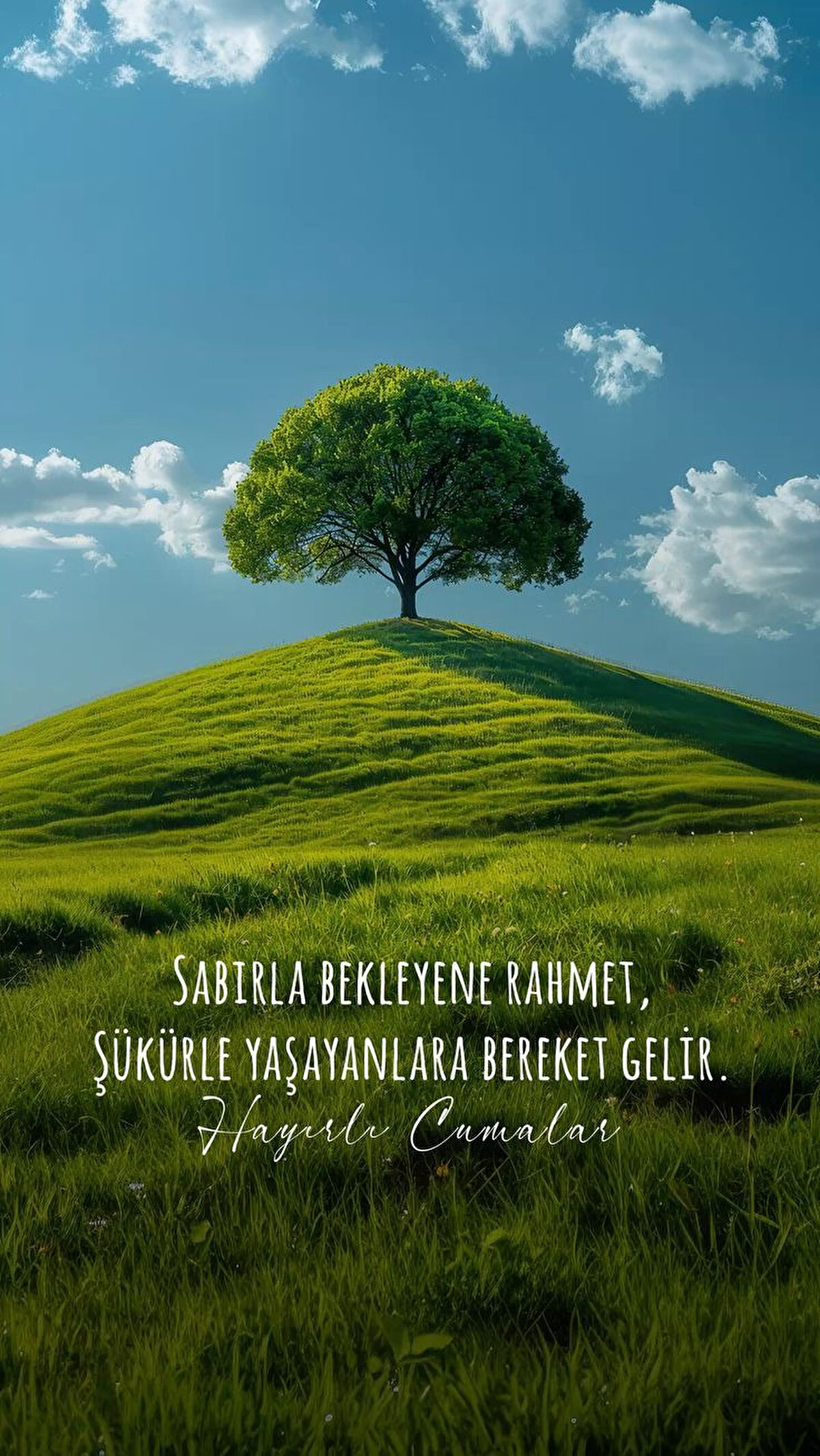 Dilerseniz Mevlana kimdir, En Güzel Mevlana Sözleri Sayfasına göz atabilirsiniz.