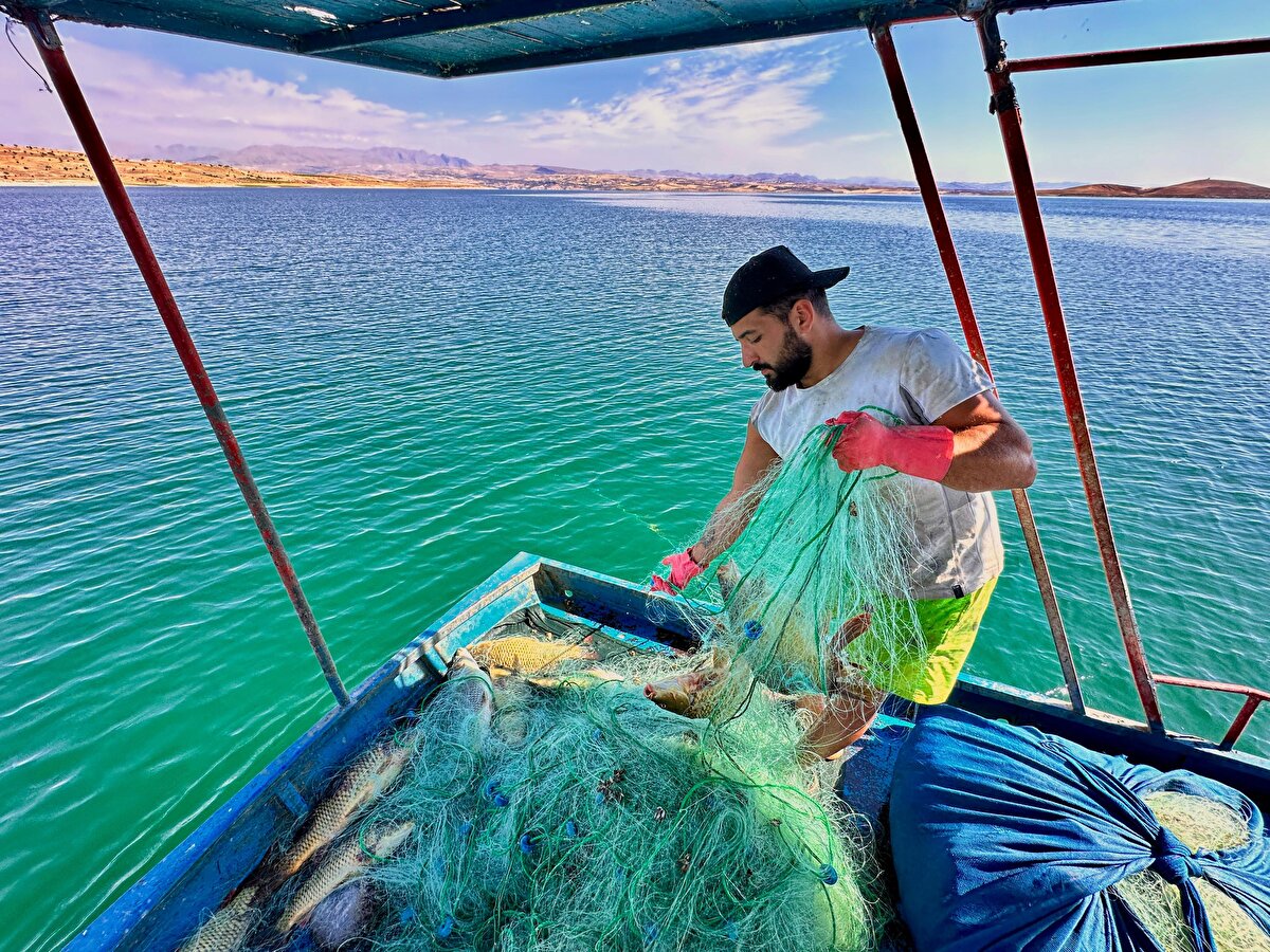 Onur Ulaş Demir, "Çocuk yaşta başladım bu mesleğe. Babamla birlikte yıllarca devam ettik. Babam vefat edince tek başıma yapmaya başladım. Tekneyi, balığı çok seviyorum. Suyun üstüne çıkınca kendimi özgür hissediyorum. Balıkçılık, gerçekten benim için çok özel ve güzel. Çok severek yaptığım bir meslek. Gün batmaya yakın, gün morluğunda tekneyle gezip, ağları suya atıyoruz. Sonra akşam teknede yatıyoruz. Sabah, gün doğmadan ağları çekip, saat 9-10 gibi balığı müteahhite teslim ediyoruz, balıkçı toptancısına. Oradan da Diyarbakır'a, Diyarbakır'dan da Irak'a kadar bu balığımız ihraç oluyor. Türkiye'de birçok restoranda da dağıtılıyor. Genellikle 2 bin metreye yakın ağ seriyoruz günlük. Ortalama 150 kilo balık çıkıyor. Kazancı bize yetiyor şu durumda. Geçen sene 95 lira giden balık şu an 90 lira. Geçen senenin fiyatını bulmadı ama umut ediyoruz. İnşallah daha iyi fiyatlara gidecek. Balığın kilosu bu ayın 15'ine kadar 60'tan gidiyordu, şimdi 90 oldu. Aylık 150-200 bin arası balıktan bir para kazanıyoruz. Kışın bu rakamlar düşüyor, yazın artıyor" dedi.