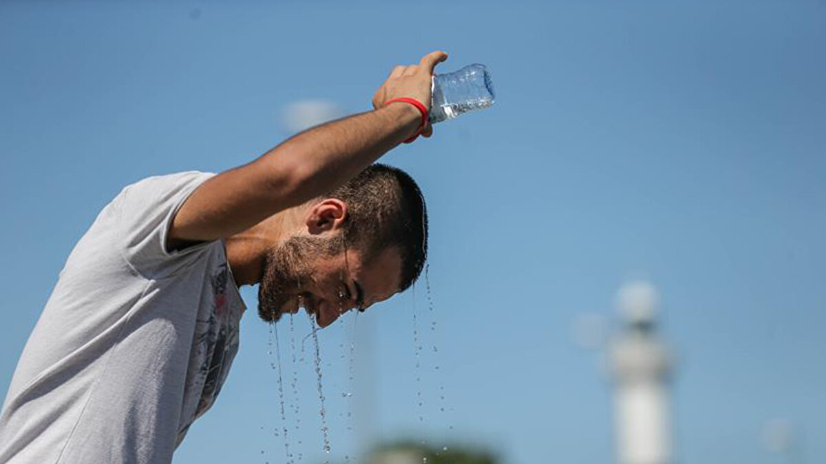 Türkiye’de ise bu süreç genellikle kasım ayının ilk iki haftasında gözlemleniyor.