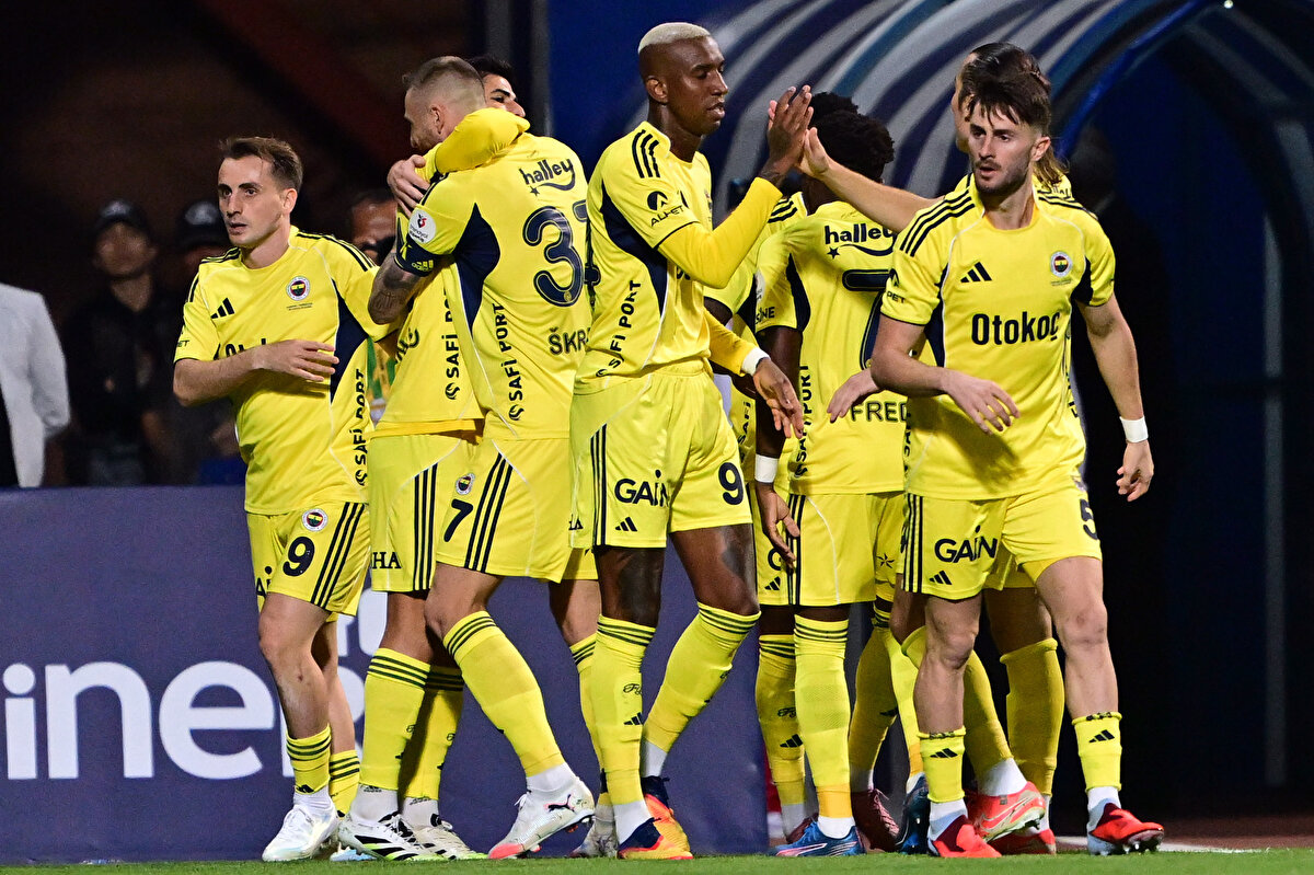 Fenerbahçe<br>69 milyon euro