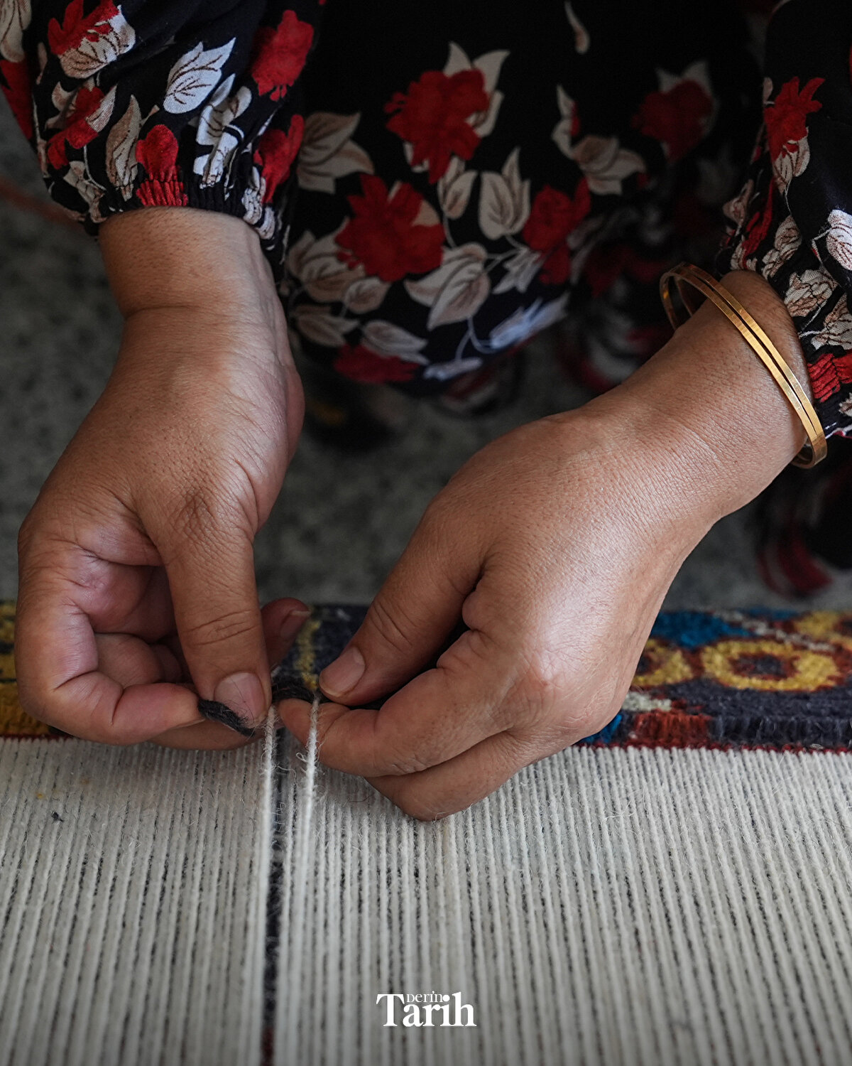 Fitöz, "Bizim çok değerli Anadolu kadınlarımız, bundan birkaç yüzyıl önce Hollanda'nın dev ressamları bugün paha biçilmez resimlerinde sanatlarını gösteriyorlar ve onlar tarihte isimsiz kalmış. Bu projeyle amacımız kadınların sanatını tekrar gün yüzüne çıkarmak. Anadolu kadınına gururumuzu ve onurumuzu göstermek. Bu, iki kültür arasında çok güzel bir köprü. Bu bağları korumak istiyoruz." dedi.