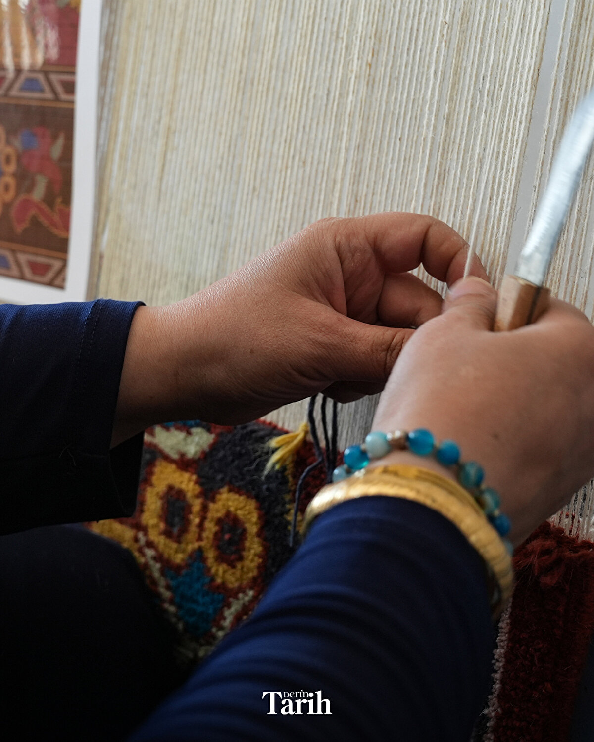 Yetkililerle görüşen Fitöz, Hollanda'nın Ankara Büyükelçiliği, İstanbul Başkonsolosluğu ile Menderes Halk Eğitimi Merkezi Müdürlüğünün desteğiyle "Hollanda'nın Ölümsüz İlham Perileri: Anadolu Kadını" adını verdiği projeyi hayata geçirdi.