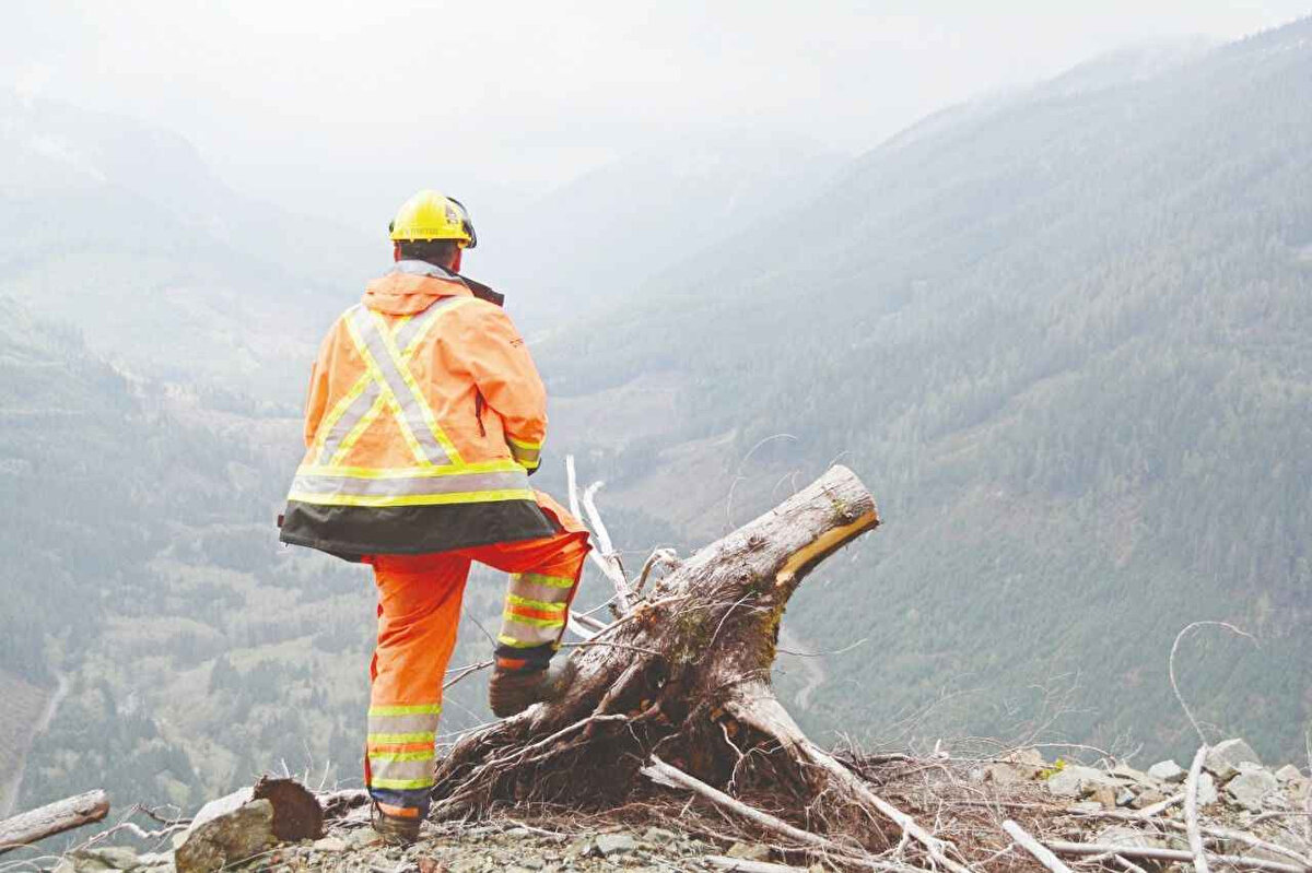 BAŞVURULAR NASIL ALINACAK?<br>Adaylar başvurularını, e-Devlet Kapısı üzerinden Devlet Malzeme Ofisi Genel Müdürlüğü - Kariyer Kapısı Kamu İşe Alım ve Kariyer Kapısı (https:isealimkariyerkapisi.cbiko.gov.tr<br>) üzerinden yapacak.<br><br>Şartları taşımayan adayların sonradan başvuruları geçersiz sayılacak. Her aday yalnızca bir açık iş ilanına başvurabilecek.<br>