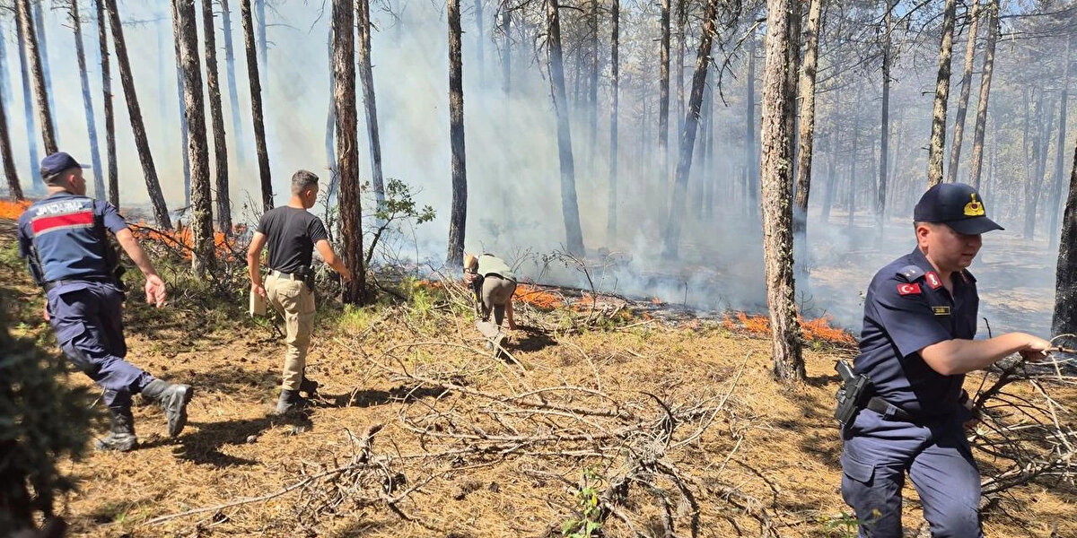 OGM DAİMİ İŞÇİ BAŞVURU TARİHLERİ NE ZAMAN?<br>Adaylar e-Devlet üzerinden 29 Eylül – 3 Ekim 2025 tarihleri arasında başvuru yapabilecekler.