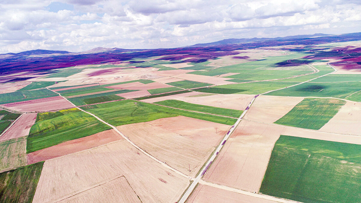 TOKİ, 29 ilde 449 adet arsayı satışa çıkarıyor. Satışlar açık artırma usulü ile yapılacak. Müzayede 1-2 Ekim tarihlerinde Ankara, İstanbul ve Mersin’de gerçekleştirilecek. Müzayedeye katılamayan vatandaşlar internet üzerinden de teklif verebilecek. Uzaktan katılım sağlamak isteyenlerin gerekli belgeleri tamamlaması ve teminat tutarını yatırması gerekiyor.<br>Peki hangi illerde arsa satışı olacak? Başvuru için hangi belgeler gerekli?
