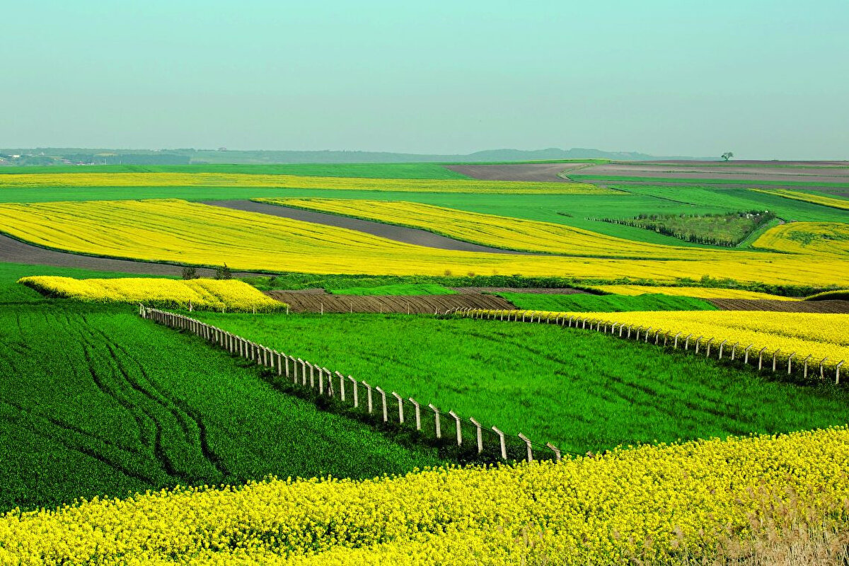 TOKİ 29 İL 449 ARSA SATIŞI NE ZAMAN, ARSALAR NEREDE?<br>1 Ekim 2025 Çarşamba 2025 saat 10.30:<br><br>Adana, Amasya, Ankara, Antalya, Aydın, Balıkesir, Bingöl, Bursa, Diyarbakır, Erzurum, Eskişehir, İstanbul, İzmir, Kars, Konya, Malatya, Muğla, Muş, Nevşehir, Niğde, Osmaniye, Sakarya, Samsun, Siirt, Şanlıurfa, Sırnak, Tokat, Van.<br><br><br> Ekim 2025 Perşembe saat 10.30: