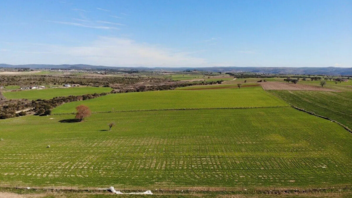 <br><br>MÜZAYEDE NEREDE YAPILACAK?<br><br>- İstanbul TOKİ Hizmet Binası Konferans Salonu Küçükçekmece / İstanbul<br><br>- İlbank Sosyal Tesisleri Macunköy Yenimahalle Yenimahalle / Ankara<br><br>- Mersin Hiltonsa Otel Yenişehir (2 Ekim 2025 tarihinde Mersin satışları için aktif olacaktır.)<br>