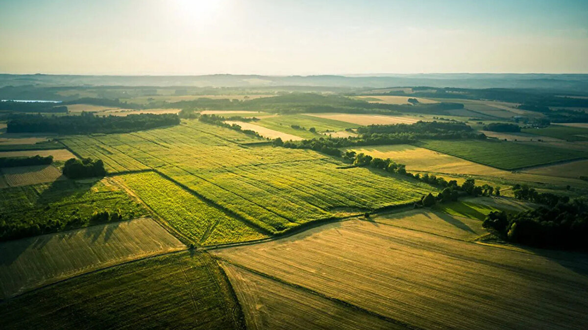 <br><br>İşte, TOKİ’nin 29 ildeki 449 arsa satış tarihi, başvuru için gerekli belgeler ve arsaların bulunduğu iller...<br>