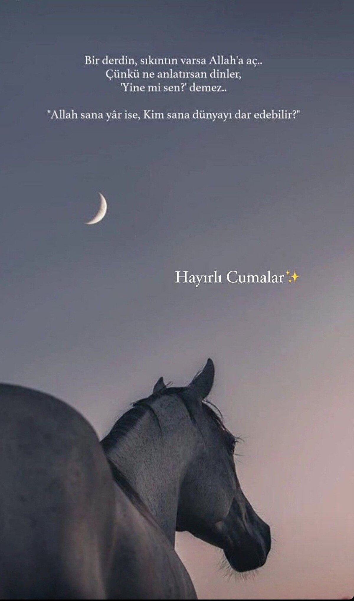  Melekler daima duacınız olsun. Yüreğiniz ferah, ilhamınız bol olsun. Sevgili peygamberimiz, şefaatçimiz olsun. Cumamız mübarek olsun.