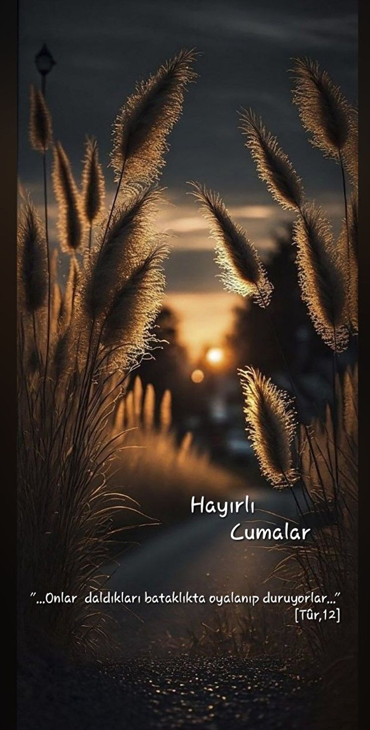 Rabbim Ne olur hiçbir annenin yüreğini, evladının acısıyla yakma! Çocukları, kirli dünyamızdan koru, sakla! Sağlık ve Huzurla HAYIRLI CUMALAR.