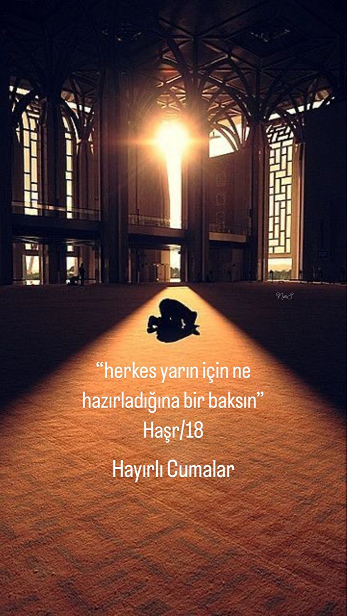 Yaşamın öyle olsun ki Rabbim, kulum senden razıyım desin… Duaların öyle olsun ki günahın tövbenin büyüklüğünden ağlasın… Yaradana sığın ki nefsin seni değil sen onu bitiresin. Hayırlı Cumalar.