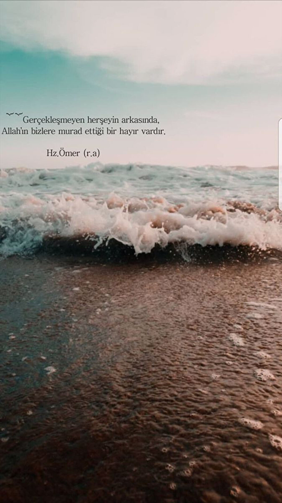 Şükür etmedikten sonra Dünyaları yesen ne fayda! ŞÜKÜR’le başladıktan sonra; bir kuru ekmek değmez mi Dünya’lara.. (Şems) Hayırlı cumalar.