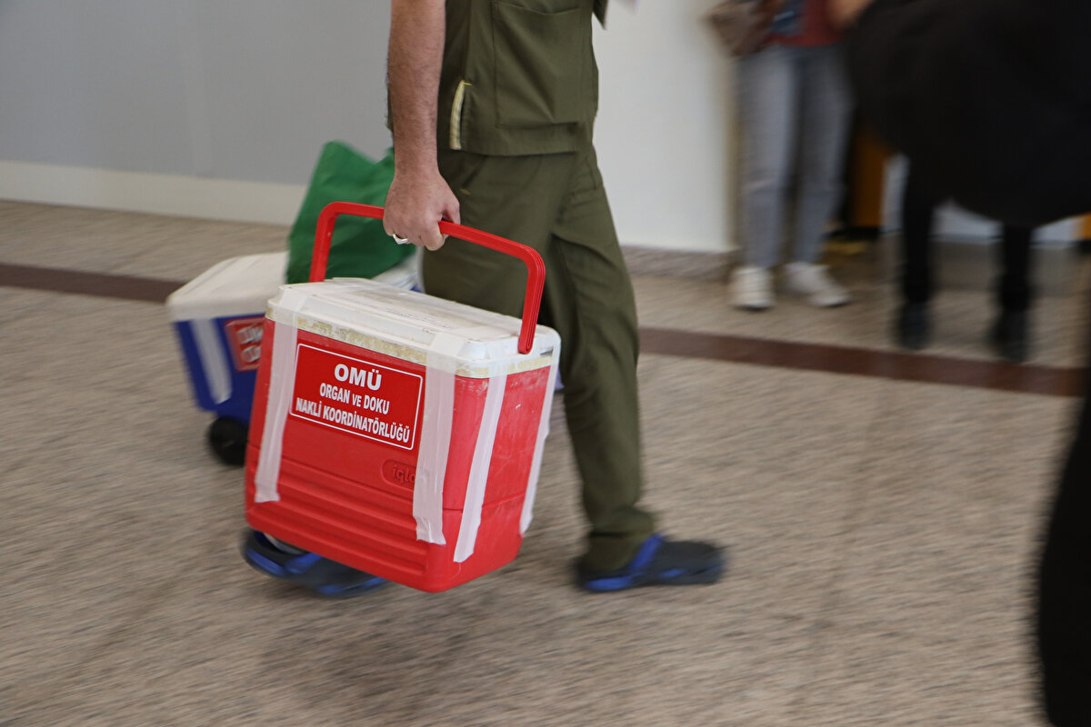 BAĞIŞÇI YETKİLİ BELİRLEYEBİLECEK<br><br>Düzenleme, kişinin vefatı sonrası organ bağışına ilişkin iradenin nasıl teyit edileceğini de netleştirdi. Bağışçılar, eşini, çocuklarını, anne-babasını veya kardeşlerinden birini; bunlar yoksa herhangi bir yakınını organ bağışı konusundaki iradesini ortaya koymak üzere yetkili kılabilecek.<br><br>Aile üyeleri arasında farklı görüşler olması halinde ise bağışçının belirlediği kişinin iradesi esas alınacak.<br>Eğer hayattayken herhangi bir beyan veya yetkilendirme yapılmamışsa, mevcut uygulamadaki gibi eş, çocuklar, anne-baba veya kardeşlerden birinin onayıyla nakil yapılabilecek.