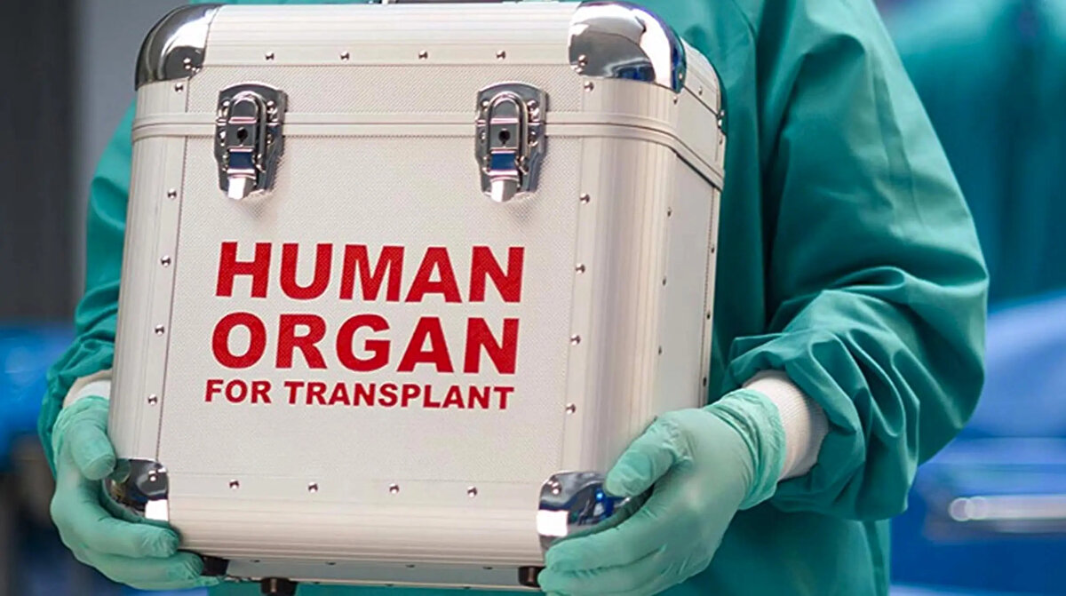 YÜRÜRLÜĞE GİRDİ<br><br>Sağlık Bakanlığı tarafından hazırlanan yönetmelik, bugün itibarıyla yürürlüğe girdi. Düzenleme hükümlerini Sağlık Bakanı yürütecek.<br>