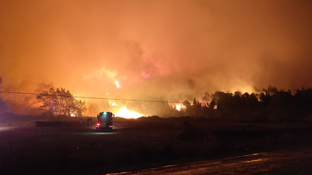 Çevredekilerin ihbarıyla bölgeye itfaiye ve Orman Bölge Müdürlüğü ekipleri sevk edildi.