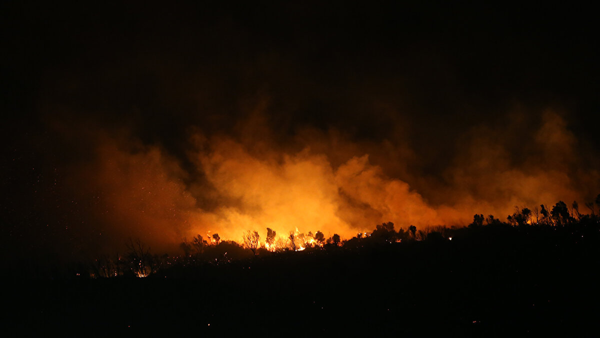 Çok sayıda kara ekibi yangına müdahale ederken, şiddetli rüzgar söndürme çalışmalarını güçleştirdi.