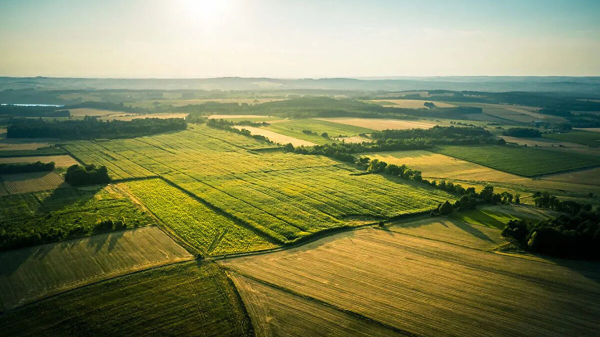 KATILIM TEMİNATI NE KADAR?<br><br>Muhammen bedeli 0 - 2.500.000 TL arası olan her arsa için ayrı ayrı 100.000-TL<br><br>Muhammen bedeli 2.500.0001 - 10.000.000 TL arası olan her arsa için ayrı ayrı 500.000-TL<br><br>Muhammen bedeli 10.000.001 - 25.000.000 TL arası olan her arsa için ayrı ayrı 2.000.000-TL