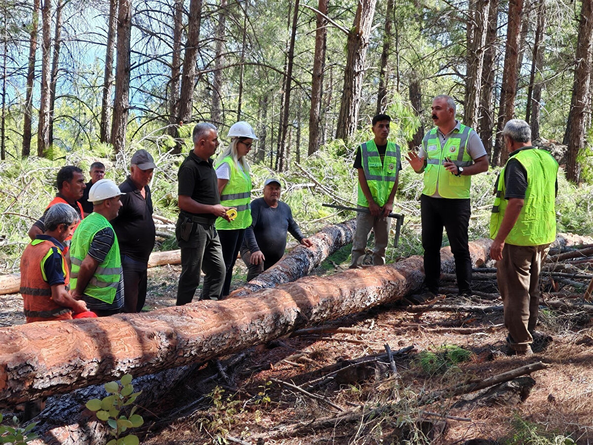 OGM İŞÇİ ALIMI KURA SÜRECİ<br>OGM daimi işçi alımı noter huzurunda çekilecek kura ile belirlenecek.<br><br>Kura tarihi ve yeri, başvuruların ardından İŞKUR açık iş ilanında belirtilecek ve ilgili Orman Bölge Müdürlüğü’nün internet sitesinden duyurulacak.<br><br><br>Başvurunun son günü itibarıyla kamusal hakları kullanmaktan yoksun bırakılmamış olmak,<br><br>Başvurunun son günü itibarıyla talep edilen öğrenim durumu ve özel şartlara haiz olmak,<br><br>Herhangi bir sosyal güvenlik kurumundan emeklilik, yaşlılık veya malullük aylığı almıyor olmak,<br>