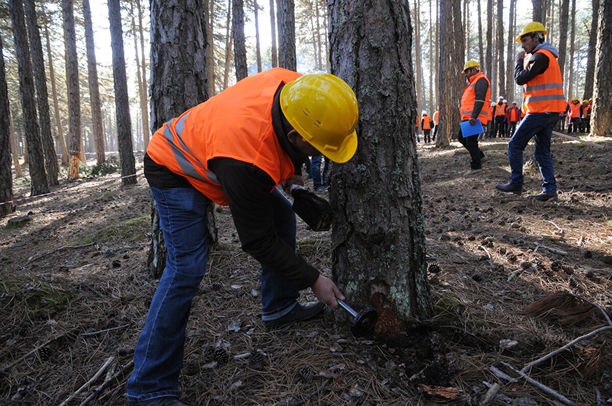 İŞKUR Açık İş İlanında belirtilen ilde ikamet ediyor olmak,<br><br>İlgili mevzuata göre yetkili sağlık kuruluşlarından alınan engelliler için sağlık kurulu raporuna sahip olmak,<br><br>Talep şartlarını taşımadığı sonradan anlaşılan adaylar ile sözlü ve uygulamalı sınav sonucunda başarılı olan adaylardan arşiv araştırması sonucu Genel Şartlar’ın 3. maddesinde yer alan suç unsurlarını taşıdıkları anlaşılanların başvuruları, alım sürecinin her aşamasında idarece sonlandırılabilecektir.
