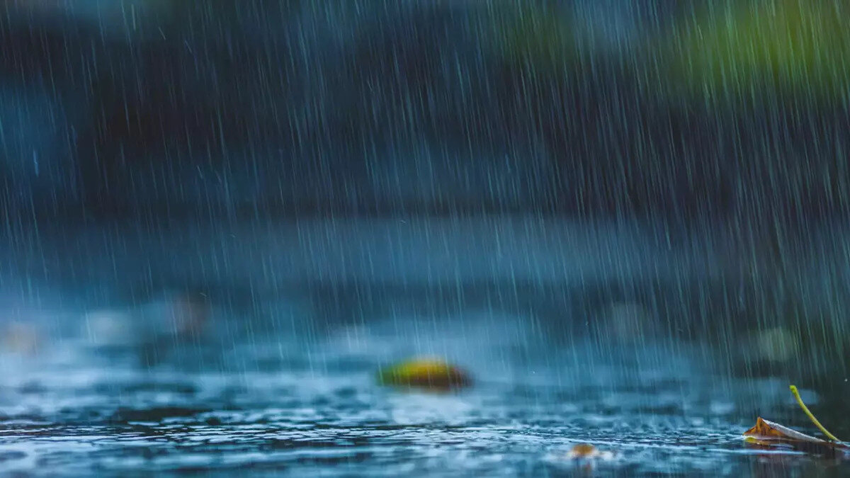 ORTA ve DOĞU KARADENİZ<br>Az bulutlu geçeceği tahmin ediliyor.<br><br>AMASYA °C, 28°C<br>Az bulutlu<br><br>RİZE °C, 23°C<br>Az bulutlu<br><br>SAMSUN °C, 24°C<br>Az bulutlu<br><br>TRABZON °C, 22°C<br>Az bulutlu