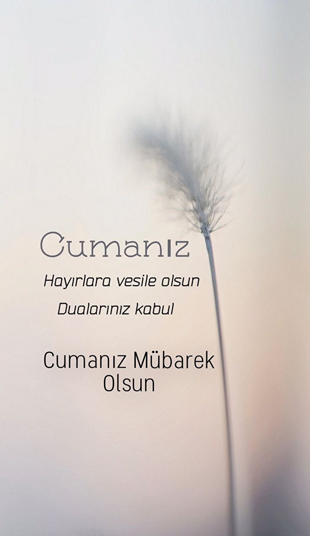 “Allah’ın rahmeti ve bereketi sizinle olsun. Hayırlı Cumalar!”<br>“Cuma’nın rahmeti ve huzuru sizinle olsun. Allah tüm dualarınızı kabul etsin.”