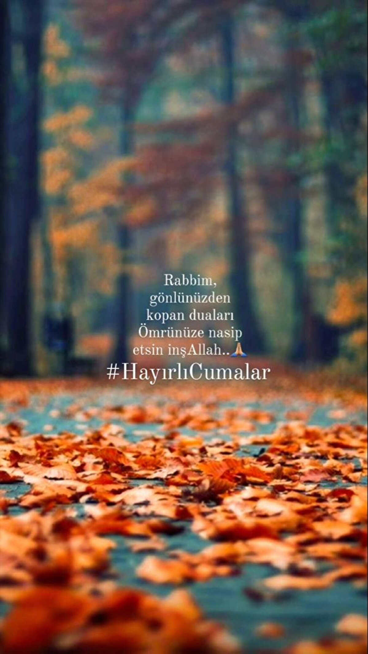 “Rabbim, hayatımızın her alanında mutluluk ve huzur nasip etsin. Cumanız mübarek olsun.”