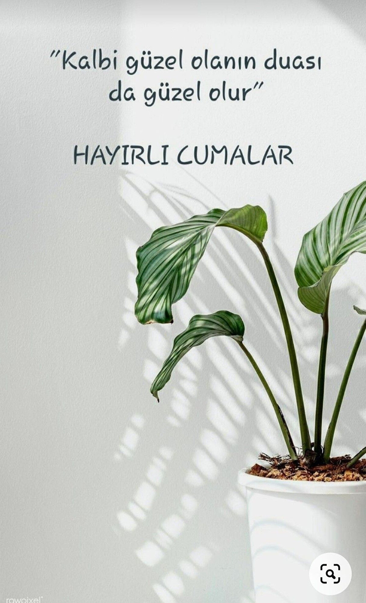 “Cuma’nın huzuruyla, kalbinizdeki her niyet, Allah katında kabul bulsun. Bu özel gün, hayatınıza hayır kapılarını açsın.”