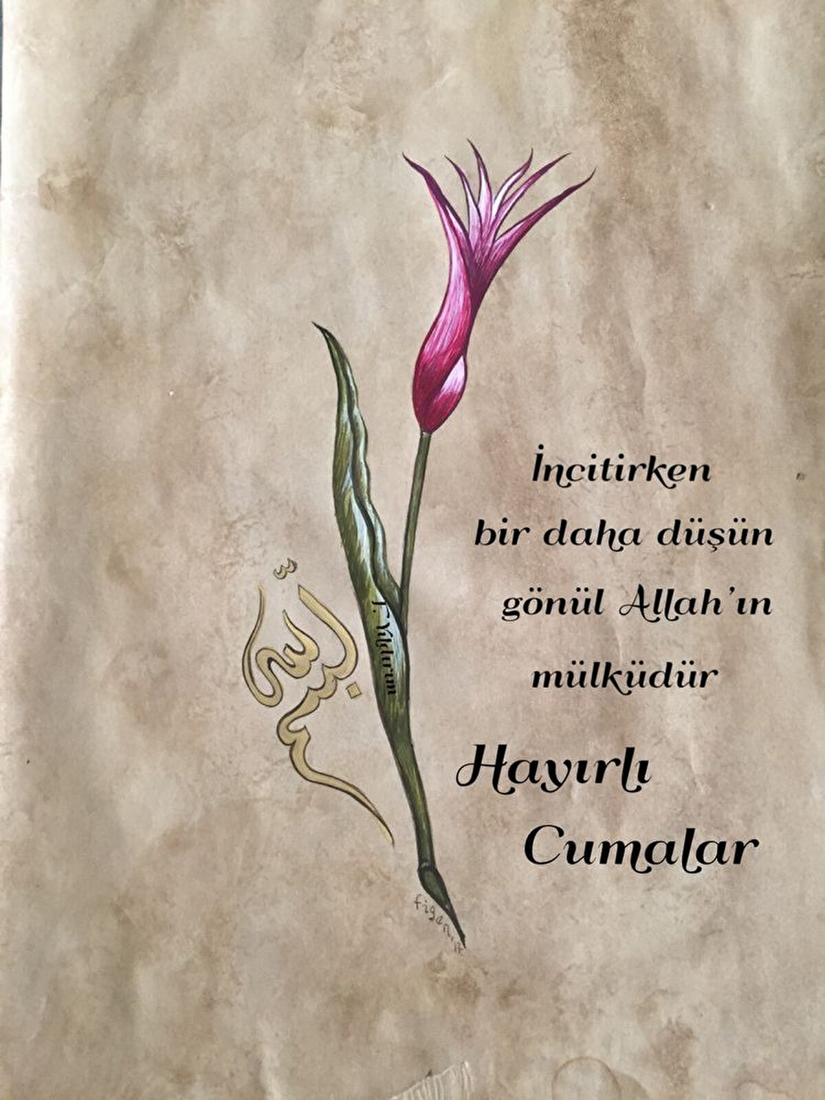 “Derdini sadece seccadene fısılda. Hayırlı Cumalar.”