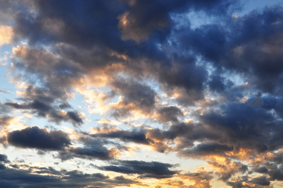 DOĞU ANADOLU<br><br>Az bulutlu ve açık.<br><br>Erzurum: 24°C – Az bulutlu<br><br>Kars: 22°C – Az bulutlu<br><br>Malatya: 29°C – Az bulutlu<br><br>Van: 27°C – Az bulutlu