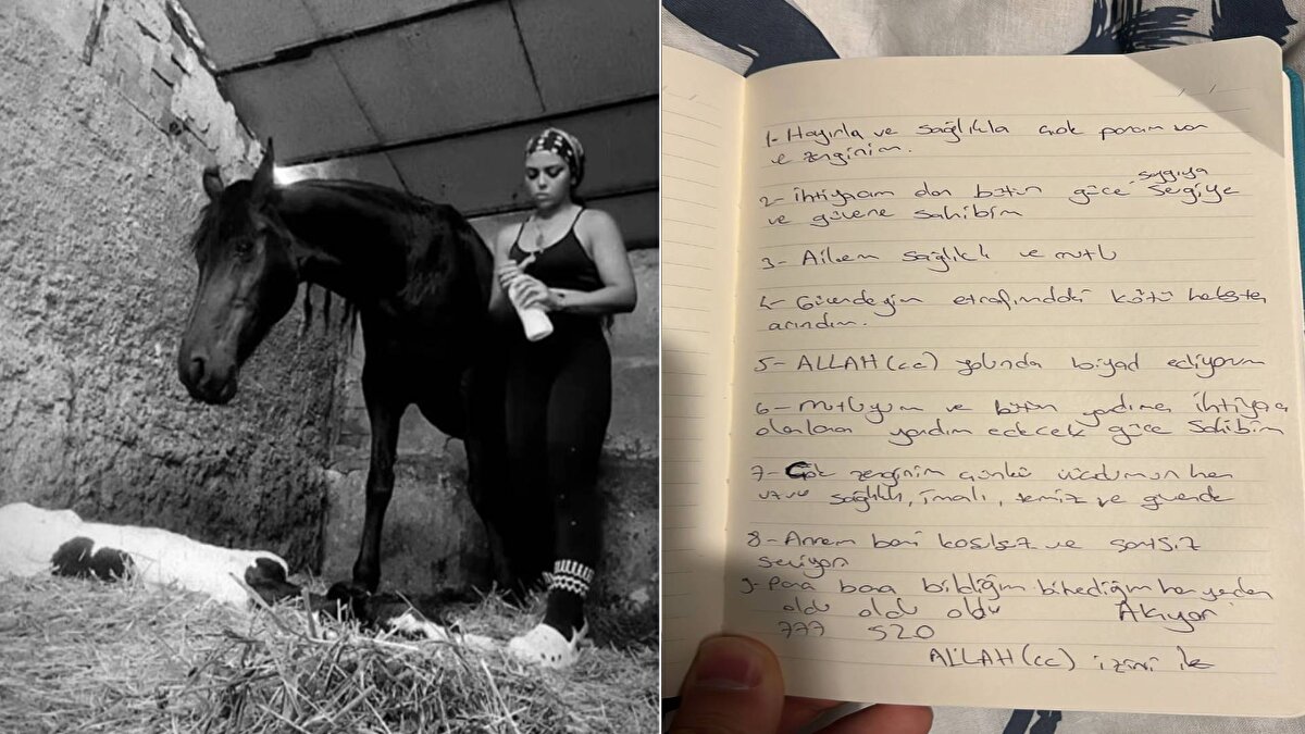 Olayla ilgili soruşturma kapsamında, Ferhat D. ile arkadaşı Ezgi Ö.'nün ifadelerinin alınması, yapılan otopsi ve toksikoloji raporlarının çıkmasının ardından, 'yeterli şüphe oluşturacak delil bulunmaması' nedeniyle Ankara Cumhuriyet Başsavcılığı, geçen mayıs ayında dosya hakkında takipsizlik kararı verdi. Kararda, Arslan'ın telefonundan imaj kaydı alınamadığı ve inceleme yapılamadığı, Arslan'ın HTS incelenmesinde herhangi bir şüpheli görüşmesinin olmadığının tespit edildiği ve yapılan otopsi raporunda ölüm sebebinin iç ve dış kanama sonucu meydana gelmiş olduğunun belirtildiğine yer verildi. Şüphelilerin beyanlarının aksini gösteren bir delile rastlanılmadığı ve Arslan'ın veda mektubu olduğu değerlendirilen yazının intihara delil sayıldığı vurgulandı.<br><br>Bakanlık itiraz etti<br><br>Takipsizlik kararına, Aile ve Sosyal Hizmetler Bakanlığı ile Arslan ailesinin avukatları itiraz etti. Dosya, Ankara 2'nci Sulh Ceza Hakimliği'ne taşındı. Aile ve Sosyal Hizmetler Bakanlığı, hakimliğe sunduğu itiraz dilekçesinde, soruşturmanın eksik yürütüldüğüne dikkat çekti. Dilekçede, Semanur Arslan'ın ölümünden önce taksi çağırdığı, eşyalarını hazırlayıp salona koyduğu belirtildi. Semanur Arslan'ın telefonunun da incelenmediği vurgulanarak, "Savcılık tarafından gerekli ve yeterli araştırma yapılmaksızın kovuşturmaya yer olmadığına dair karar verilmiştir. Maktulün kullanmakta olduğu telefonun incelemesi yapılmamıştır. Maktulün olay yerinden ayrılmak için taksi çağırmış olması, valizini ve eşyalarını hazırlayıp salona koyması, intihar etmeyi düşünen bir kişinin yapacağı hazırlıklar olmayıp bu durum hayatın olağan akışına aykırıdır. Dosyada bulunan, arka planı pembe tonlarda ekran üzerinde görülen veda yazısı şeklindeki yazının, maktulün sosyal medyasında paylaşıp paylaşmadığı belli olmadığı gibi maktul tarafından yazılıp yazılmadığı da kesin değildir" ifadeleri yer aldı.