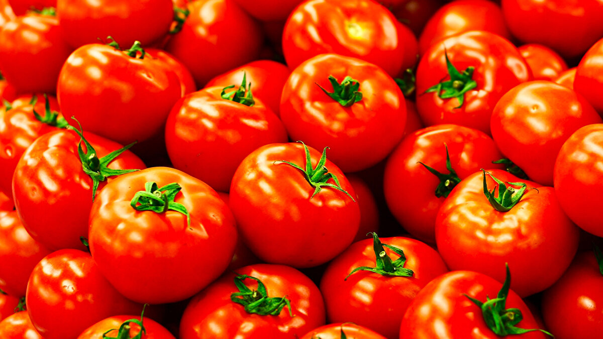 Kırmızı meyveler<br><br><br>Likopen ve antosiyanin içerir.<br>Kalp sağlığını destekler, hücre yenilenmesine yardımcı olur