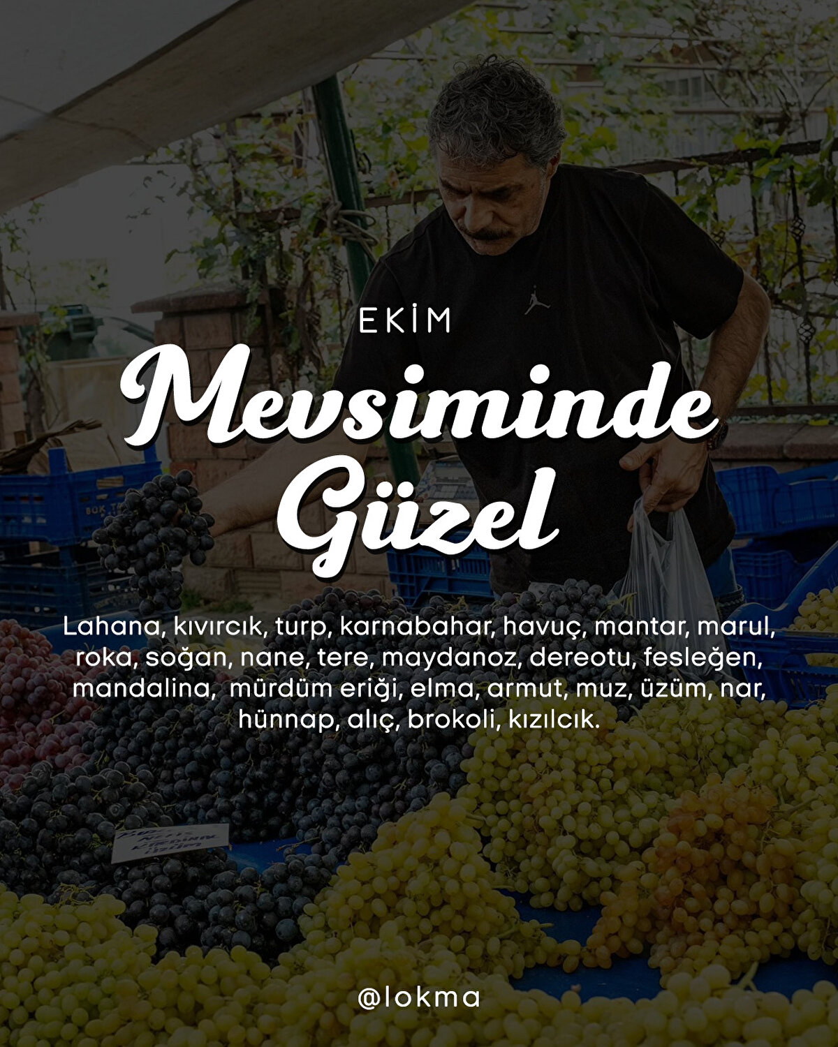 Mevsiminde Güzel - Ekim