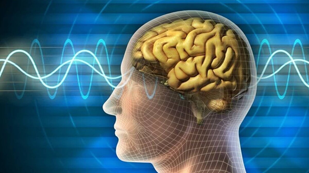 150 kişiye yer var<br><br>İngiliz psikolog Robin Dunbar, insan beyninin sosyal ilişkileri sürdürme kapasitesinin sınırlı olduğunu öne sürüyor. Dunbar, primatlar üzerinde yaptığı araştırmalarda, neokorteks büyüklüğü ile sosyal grup büyüklüğü arasında güçlü bir ilişki buldu.