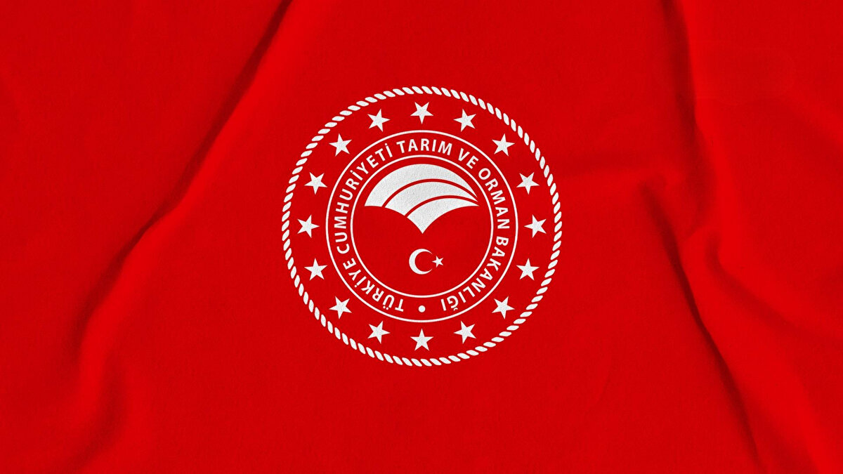 Başvuru tarihleri ve şekli<br><br>Adaylar, başvurularını 13–24 Ekim 2025 tarihleri arasında yapabilecek.<br>Başvurular yalnızca Cumhurbaşkanlığı Kariyer Kapısı (👉 isealimkariyerkapisi.cbiko.gov.tr<br>) adresi üzerinden e-Devlet şifresiyle elektronik ortamda gerçekleştirilecek.