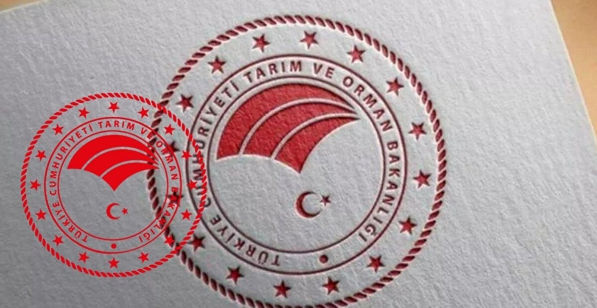 İlanda yer alan diğer detaylar<br><br>Bakanlığın yayımladığı ilanda;<br>adaylarda aranan nitelikler, başvuru yöntemleri, değerlendirme süreçleri ve atama prosedürlerine ilişkin ayrıntılı bilgilere de yer verildi.