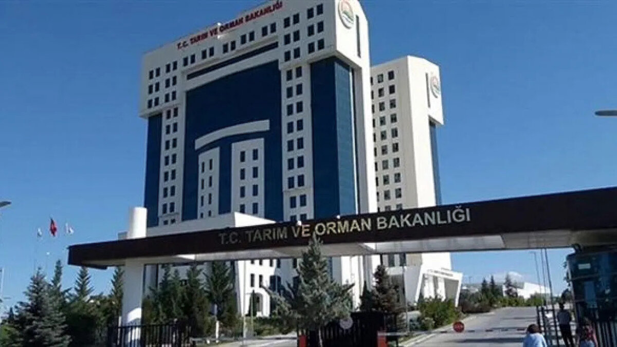 Tarım ve Orman Bakanlığı, taşra teşkilatında görevlendirmek üzere 200 sözleşmeli personel alımı yapacağını duyurdu. Resmi Gazete'de yayımlanan ilana göre, mühendis, veteriner hekim, koruma ve güvenlik görevlisi gibi çeşitli kadrolarda istihdam sağlanacak. Adaylar için başvuru tarihleri ve aranan şartlar belli oldu. Peki, Tarım ve Orman Bakanlığı personel alımı başvuruları ne zaman, nasıl yapılacak? İşte 2025 yılı alımlarına dair tüm merak edilenler.