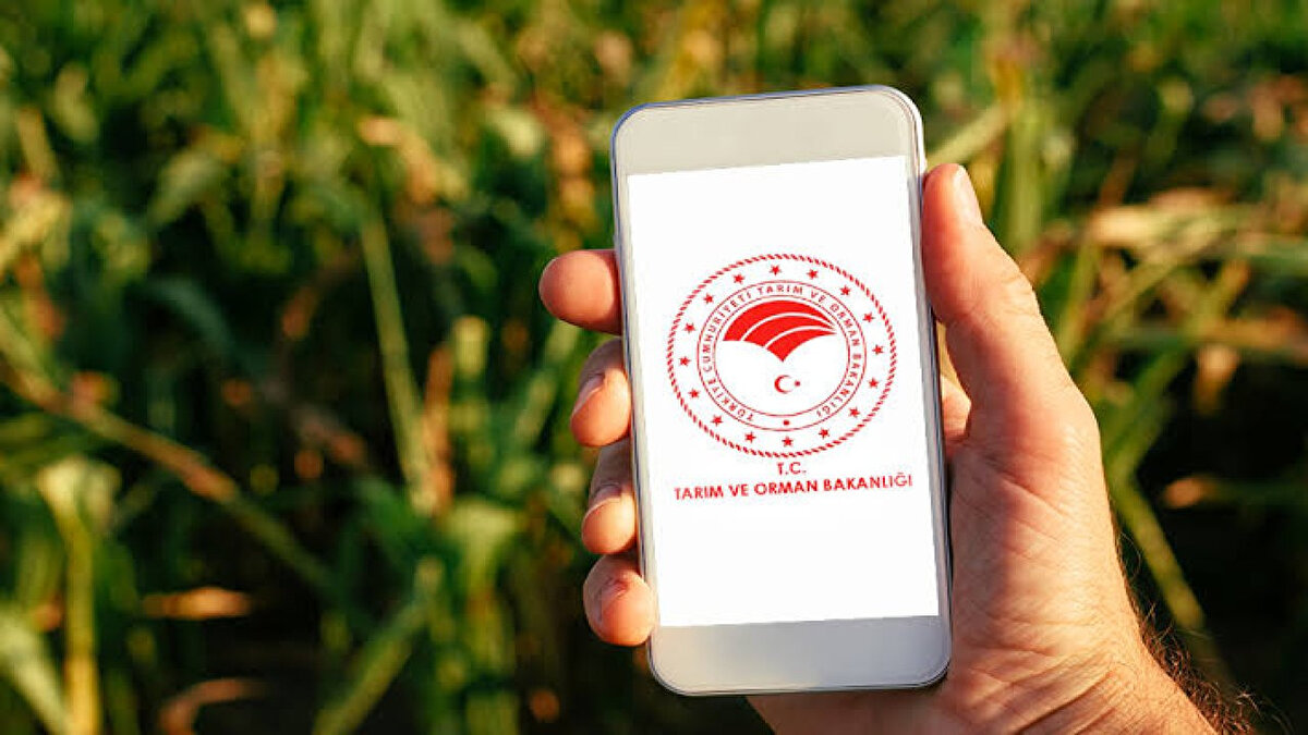 Başvuru Nasıl Yapılacak?<br><br>Adaylar başvurularını sadece Kariyer Kapısı üzerinden e-Devlet şifreleriyle giriş yaparak tamamlayabilecek.<br>Kariyer Kapısı dışındaki yöntemlerle (posta, elden teslim vb.) yapılan başvurular geçersiz sayılacak.<br><br>Başvuru sırasında adaylardan istenen belgeler ve unvanlara ilişkin özel nitelikler, ilanın ekinde detaylı olarak yer alıyor.