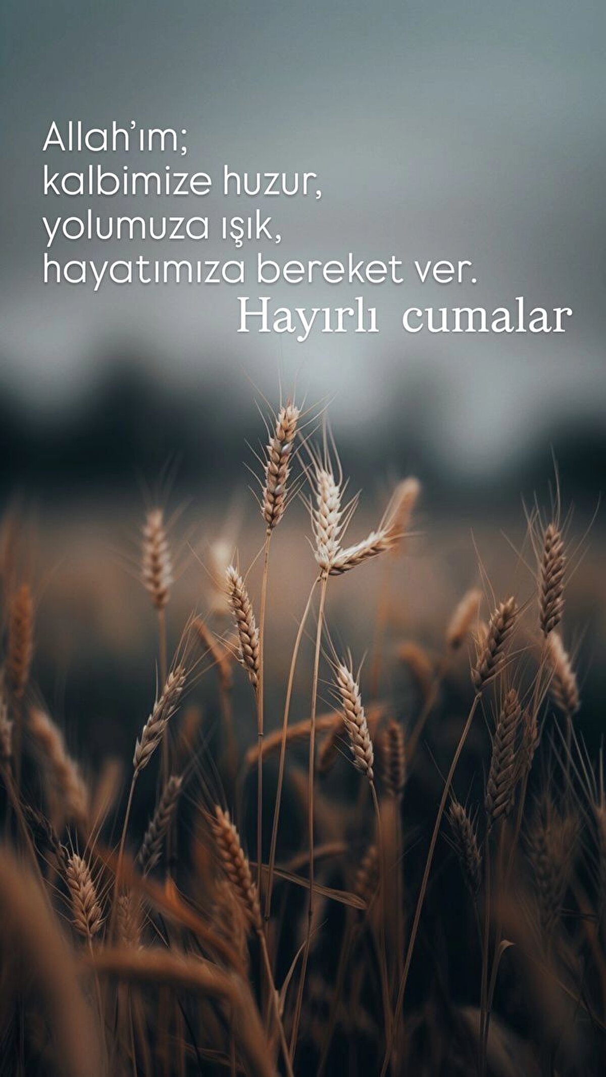 Huzur, sağlık ve afiyet dolu bir gün geçirmeniz duasıyla... Yüreğinizden geçen güzel dilekler gerçek olsun. Hayırlı Cumalar.