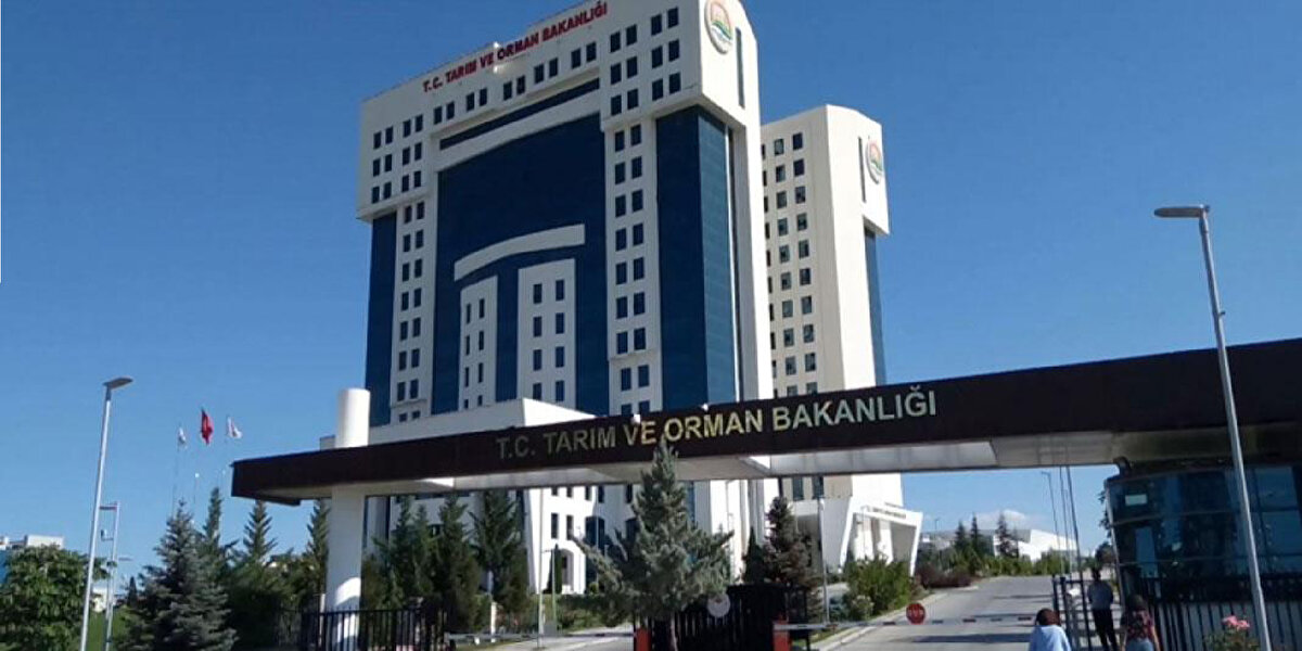 Binlerce adayın merakla beklediği Tarım ve Orman Bakanlığı personel alımı ilanı yayımlandı. Bakanlık, 2024 yılı KPSS puanı ile toplamda 200 sözleşmeli personel istihdam edeceğini açıkladı. Bu alım, kamu sektöründe kariyer hedefleyenler için önemli bir fırsat sunuyor.