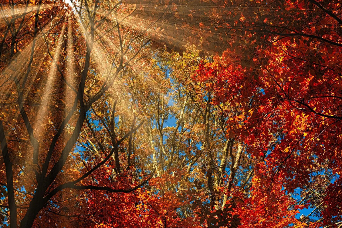 PASTIRMA SICAKLARI NE ZAMAN BEKLENİYOR?<br>Pastırma Yazı olarak da bilinen bu sıcaklık dönemi, geleneksel olarak sonbahar mevsiminin sonuna denk gelir; yani genellikle Ekim ayının sonundan Kasım ayının ortasına kadarki güneşli günler için kullanılır.<br>