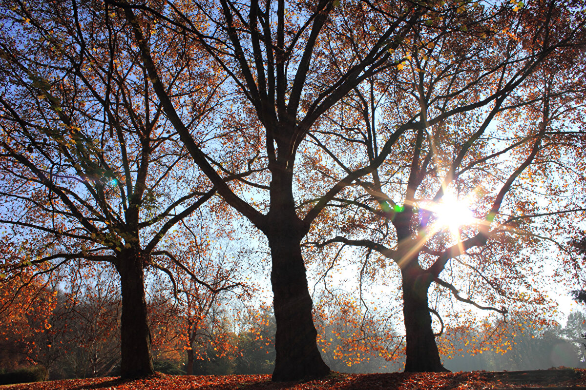 Bilimsel Mekanizma: Pastırma Yazı, kutuplardan gelen soğuk hava kütlesinin hareketini durdurarak yerini sıcak bir yüksek basınç merkezine bırakmasıyla oluşur. Bu durum, dikey hava hareketlerini engeller ve rüzgarın hafiflemesiyle puslu bir havaya neden olur.<br>